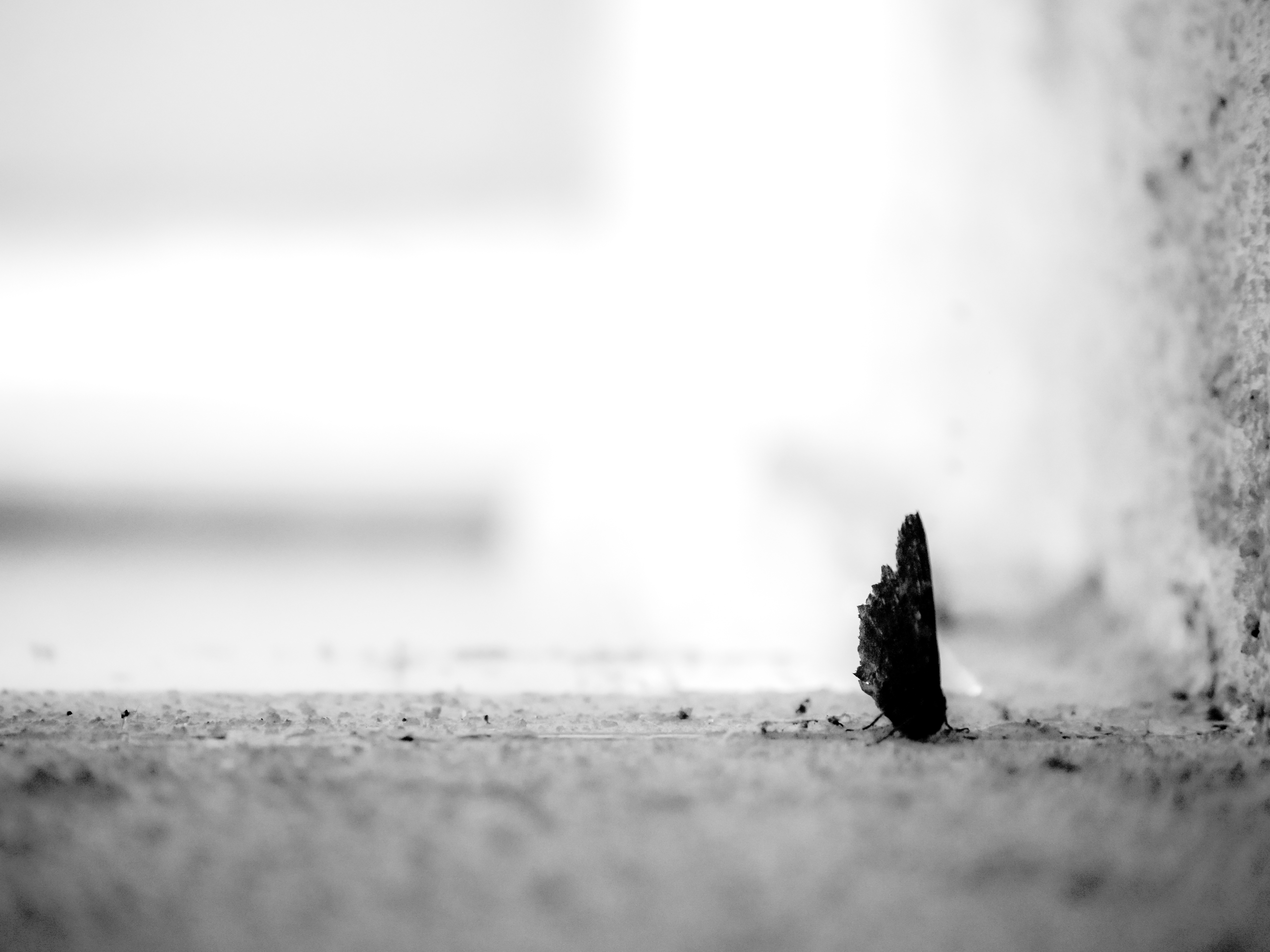 photo libre — 36