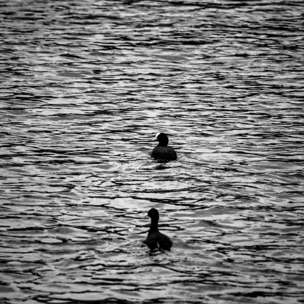 photo libre — 53