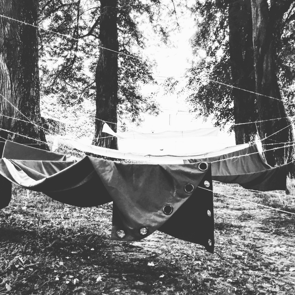 photo libre — 92