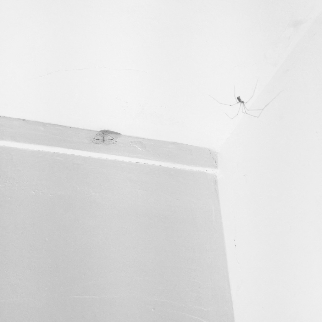 photo libre — 55