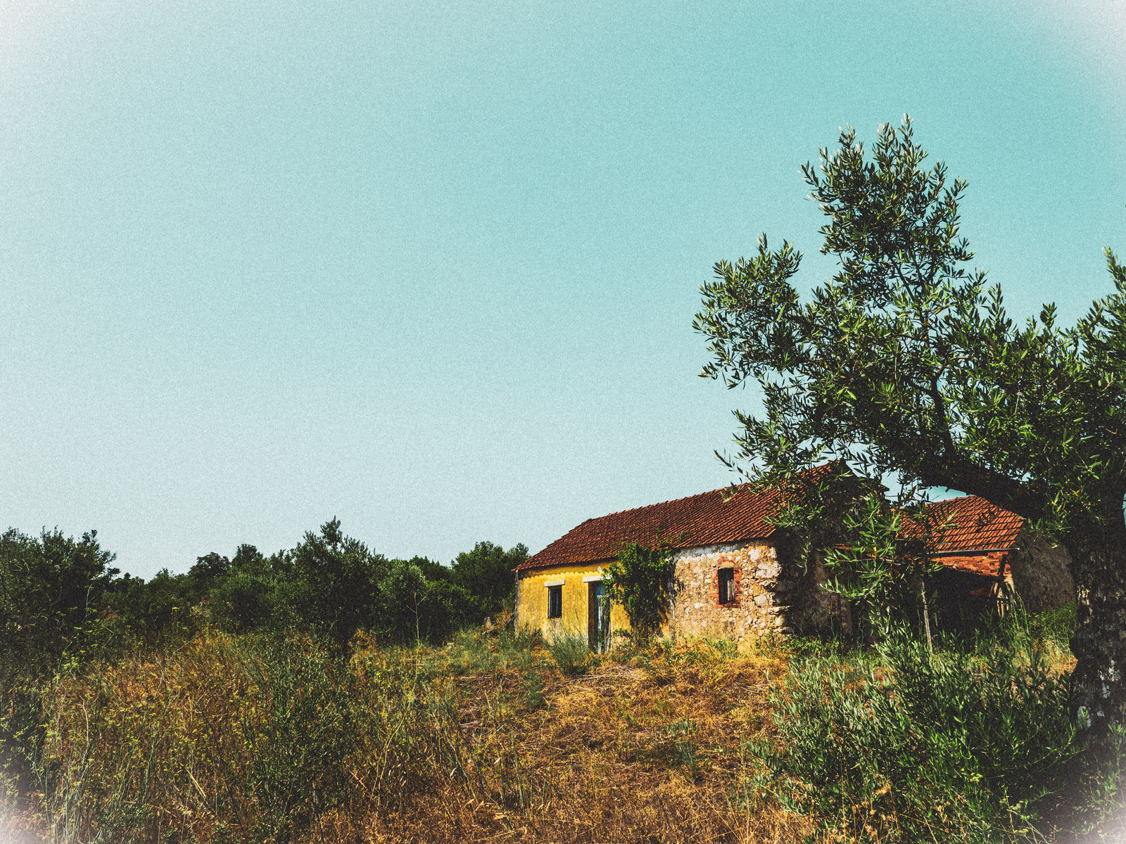 photo libre — 23