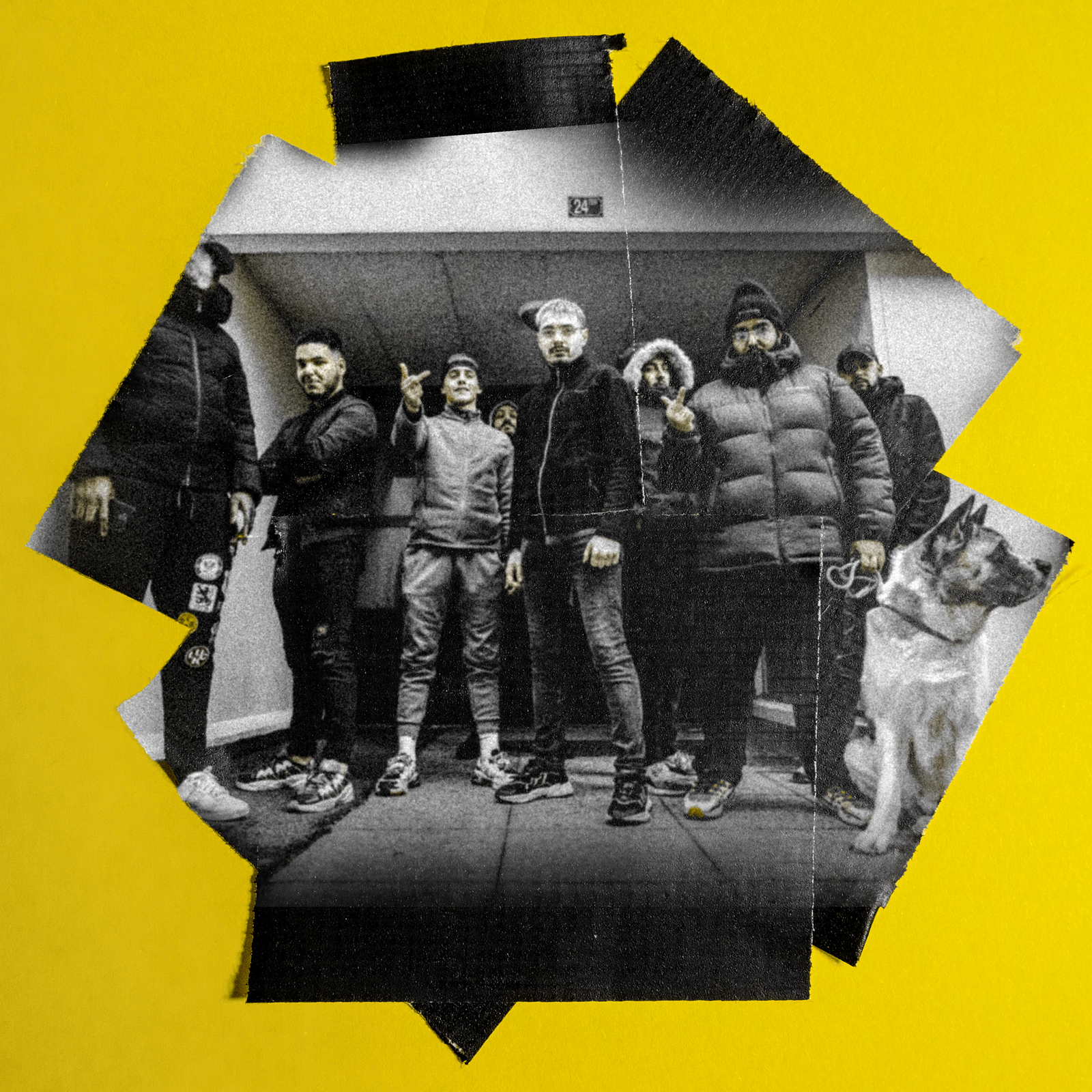 wisuels — 20