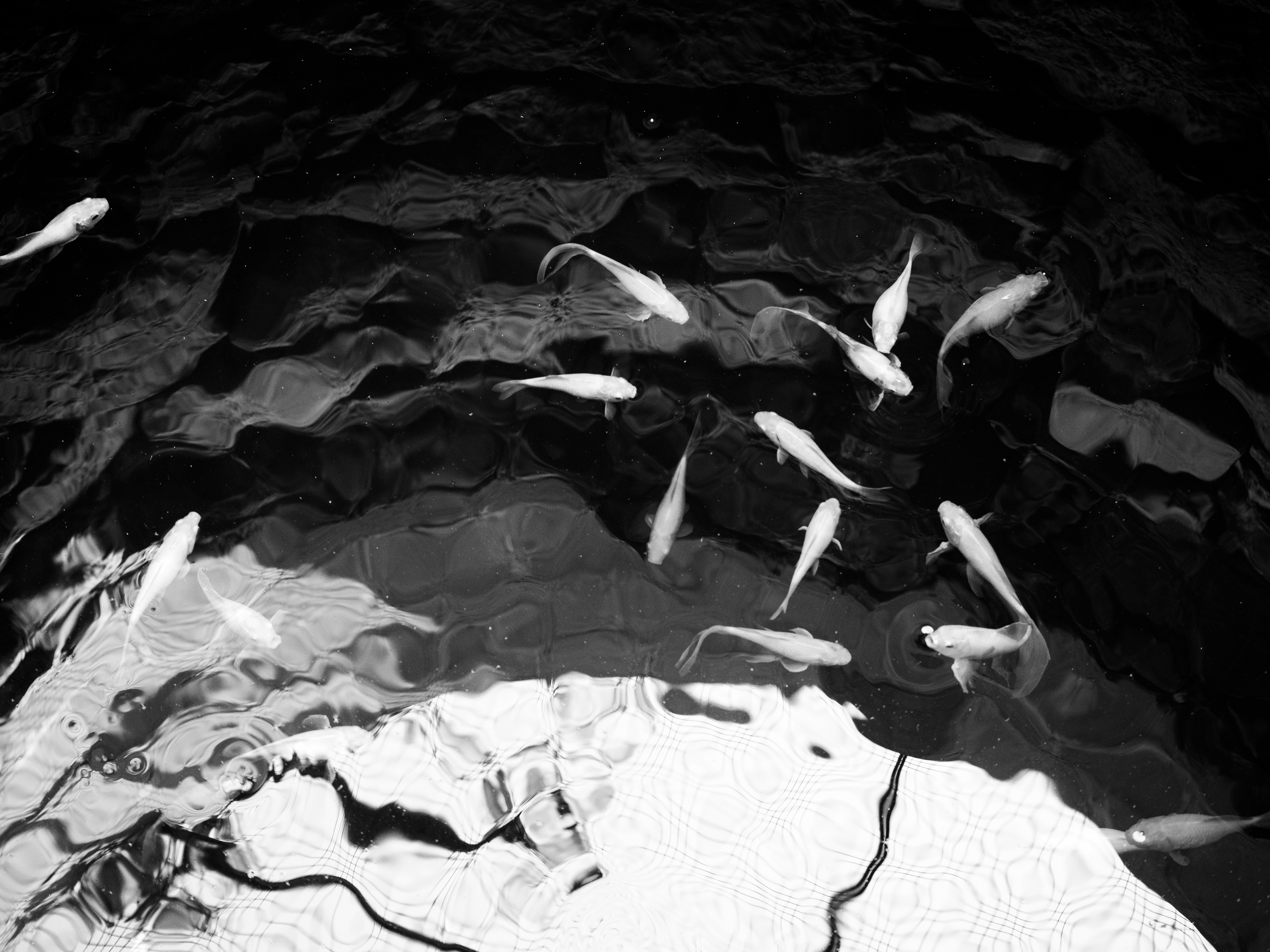 photo libre — 34