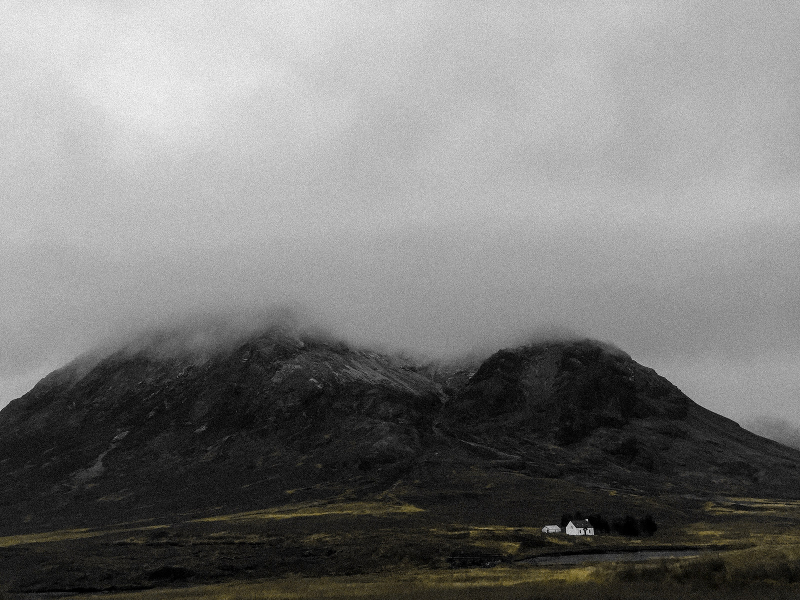 nature — 15