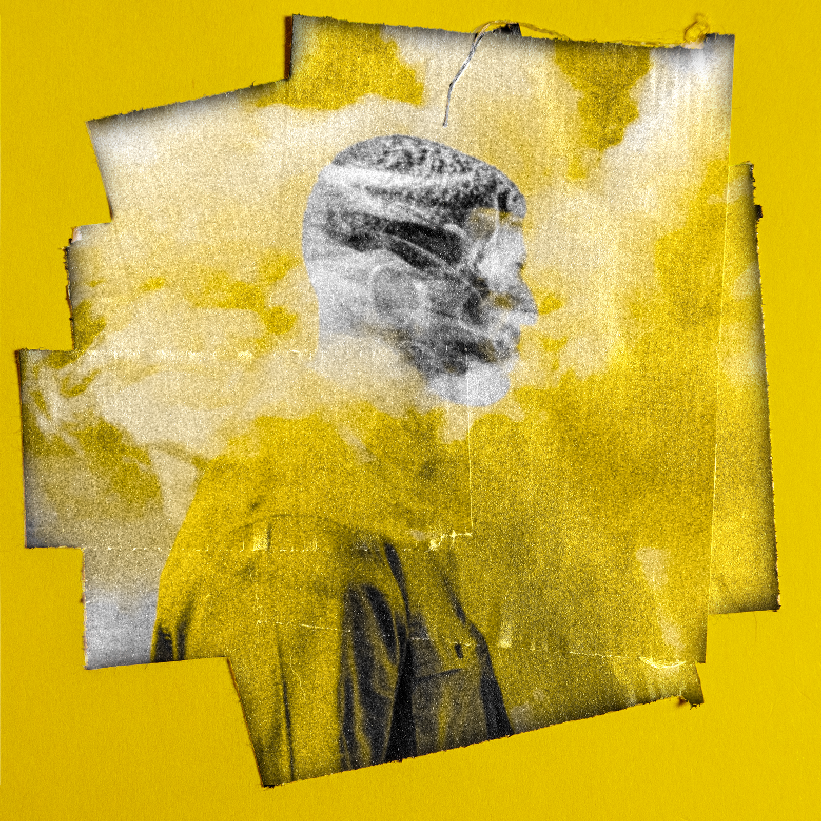 wisuels — 13