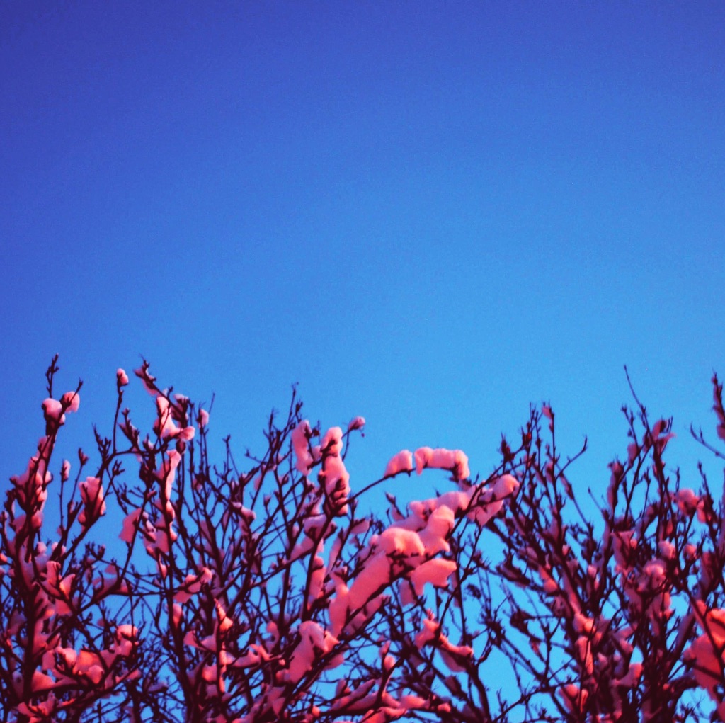 photo libre — 74