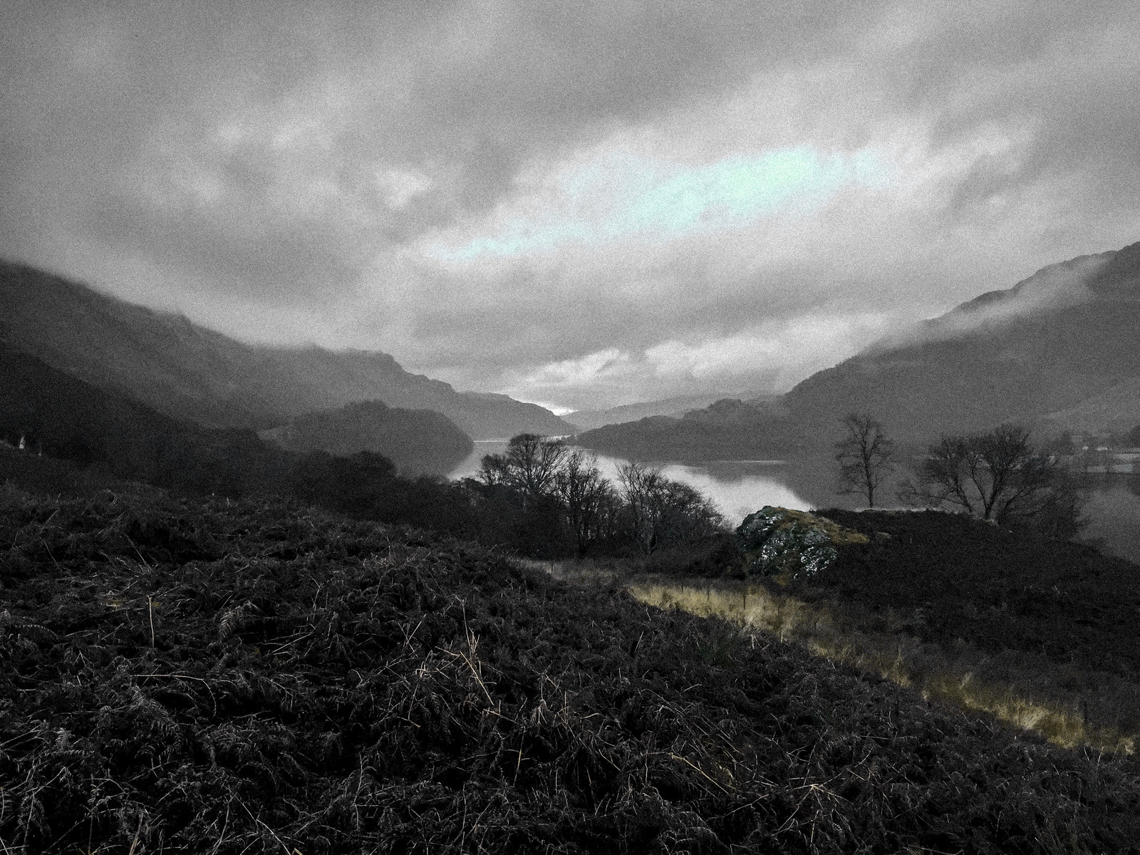 nature — 12