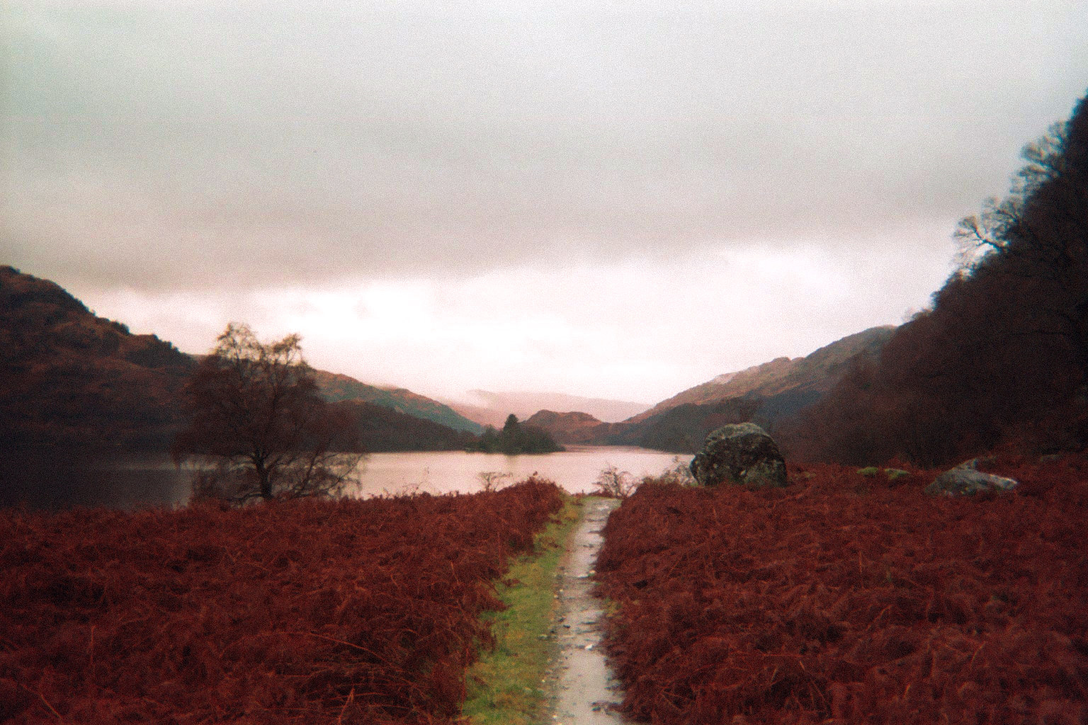 nature — 11