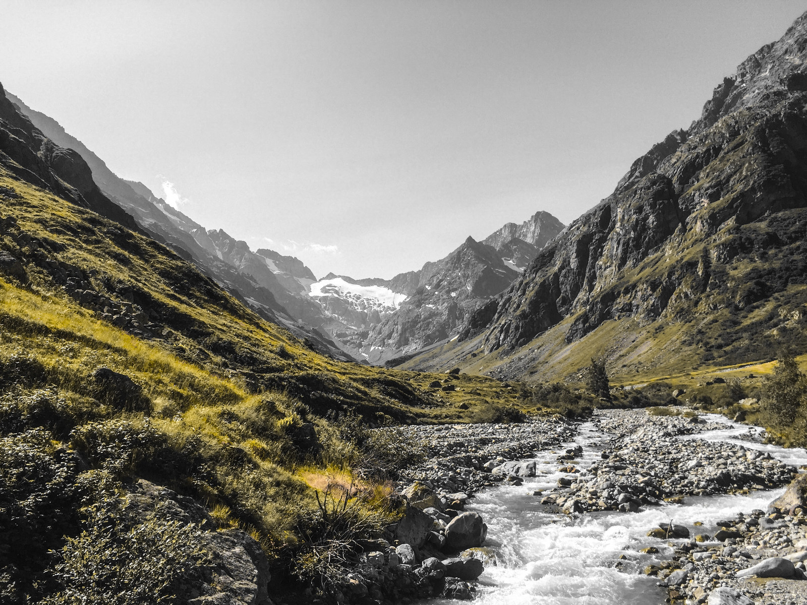 nature — 10