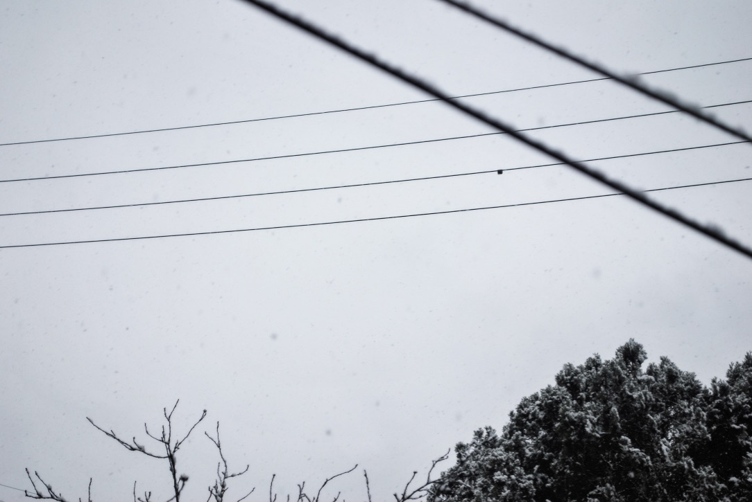 photo libre — 50