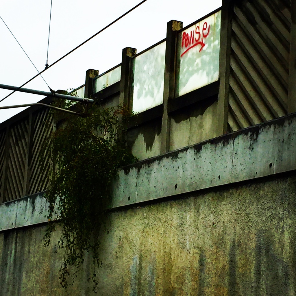photo libre — 87
