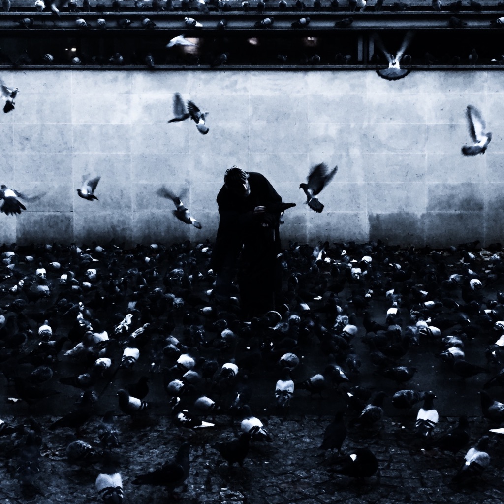 photo libre — 51