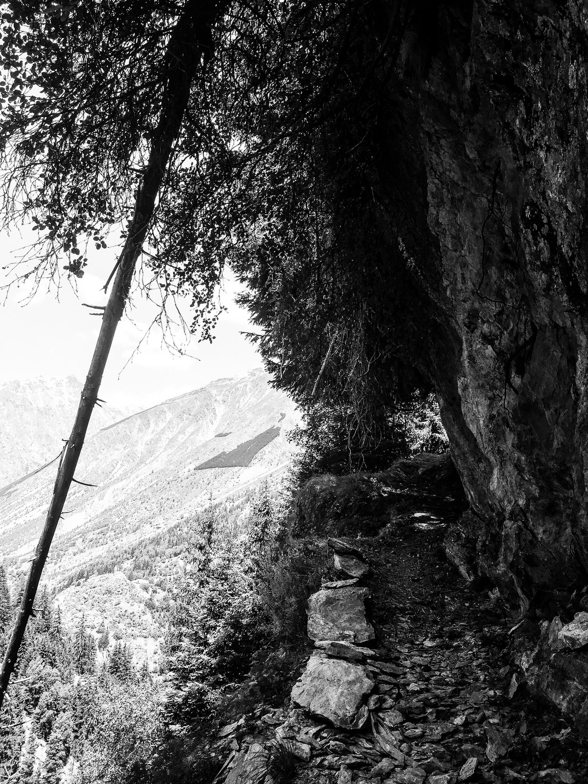 nature — 14