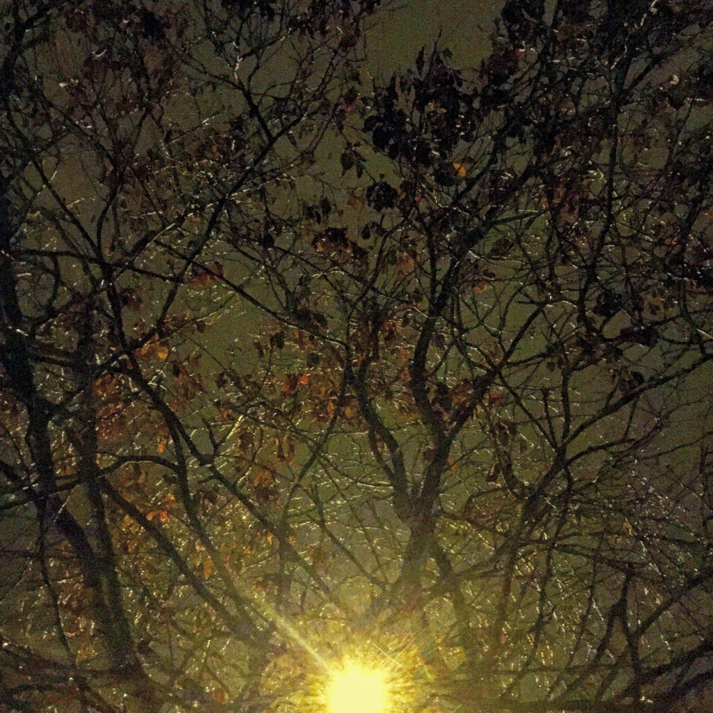 photo libre — 75