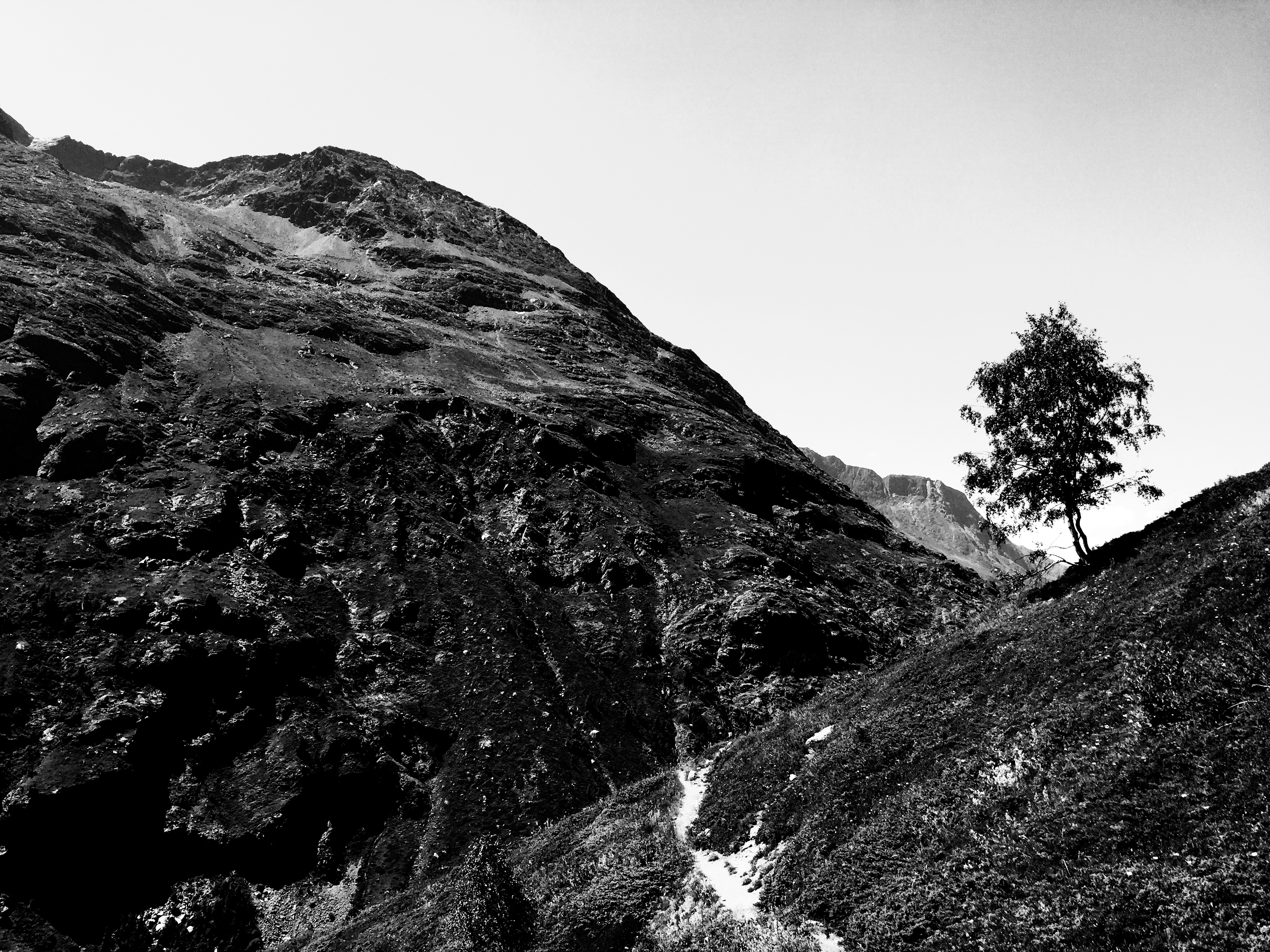 nature — 28