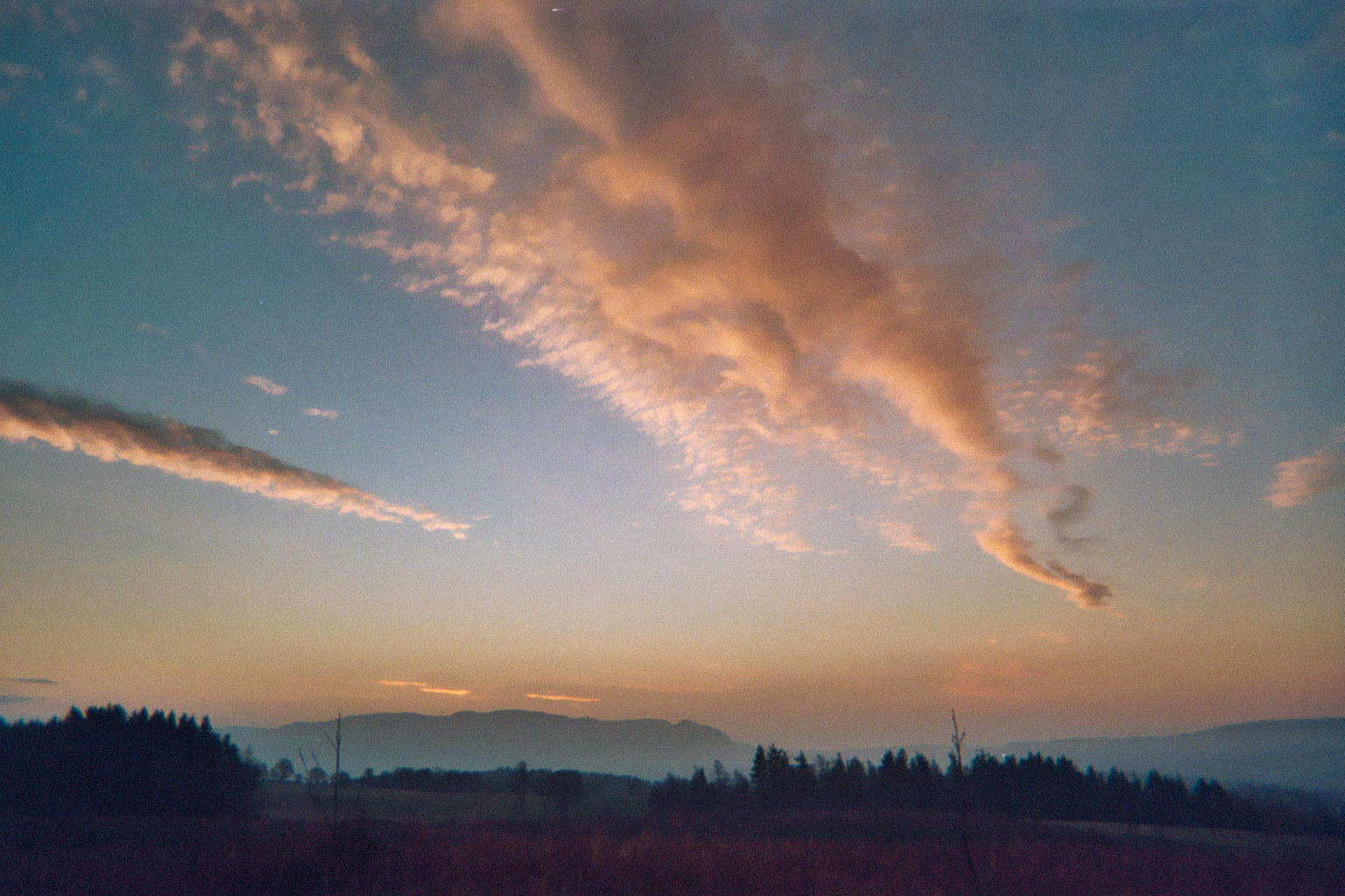 nature — 21