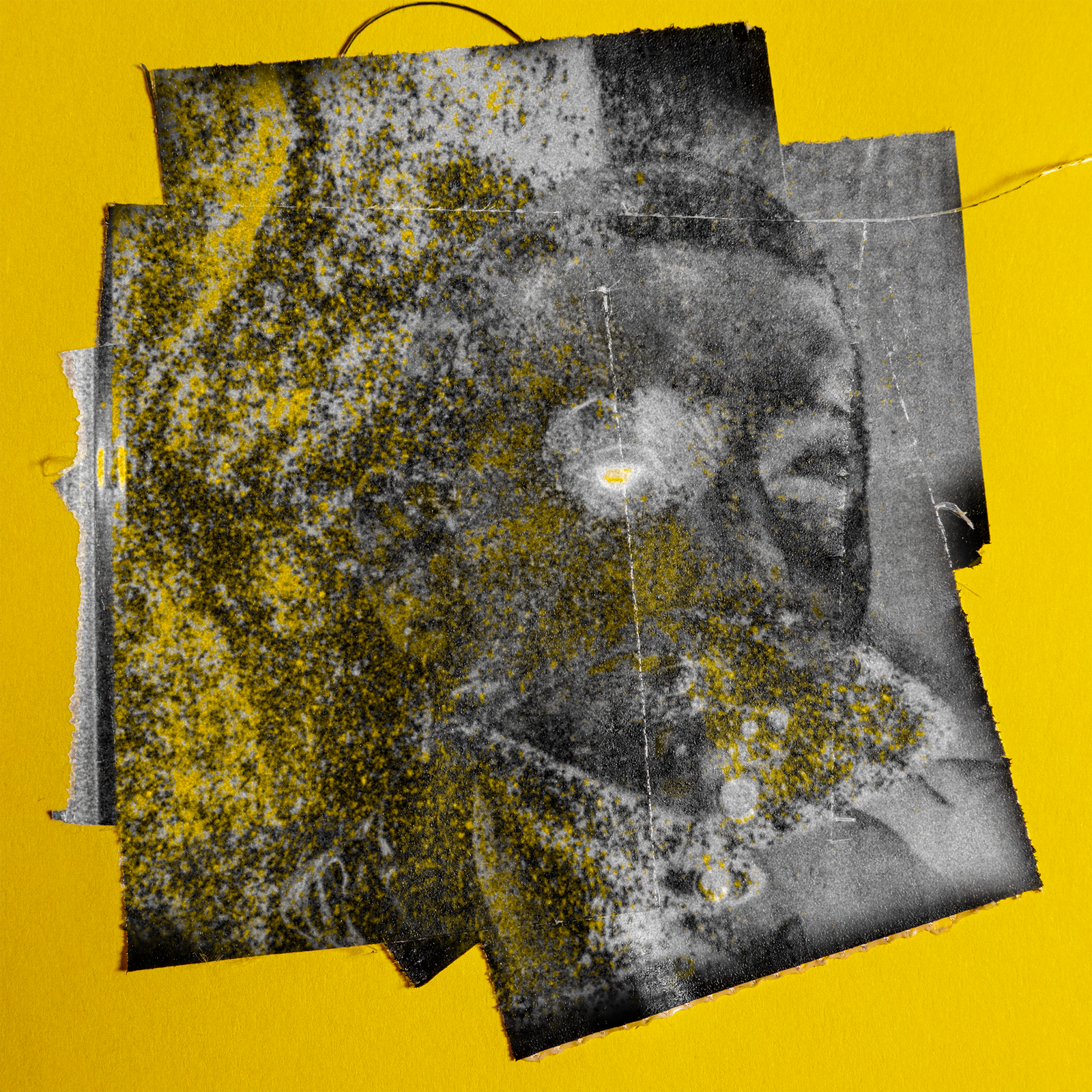 wisuels — 5