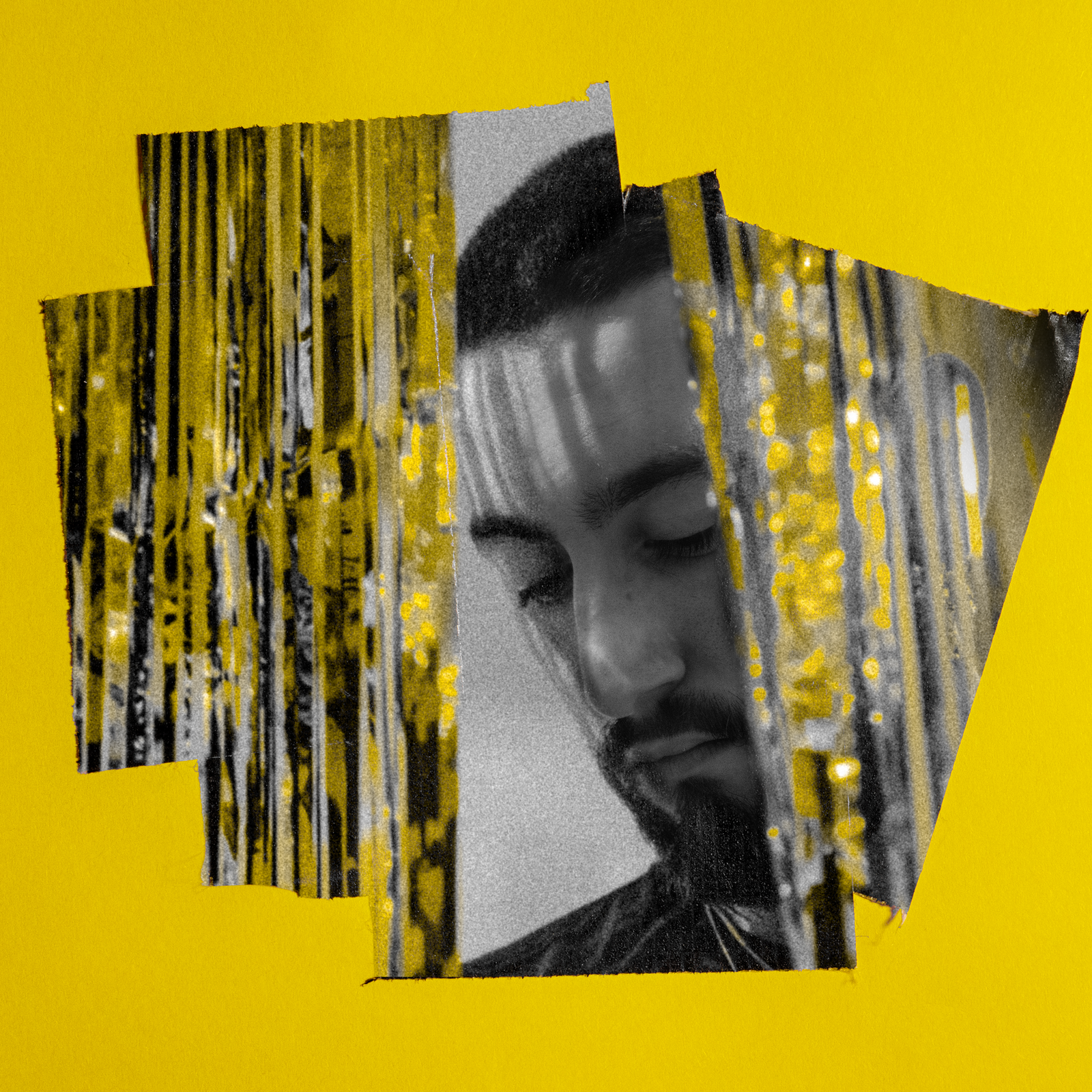 wisuels — 15