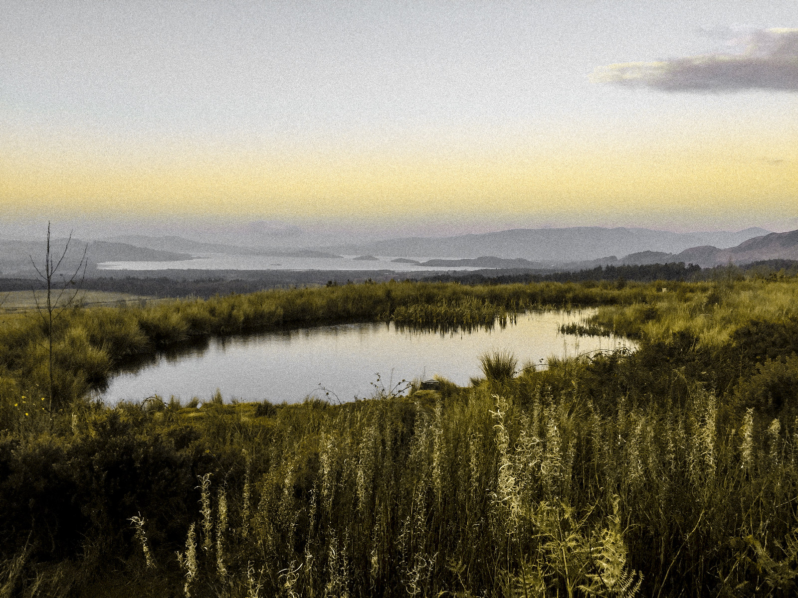 nature — 22