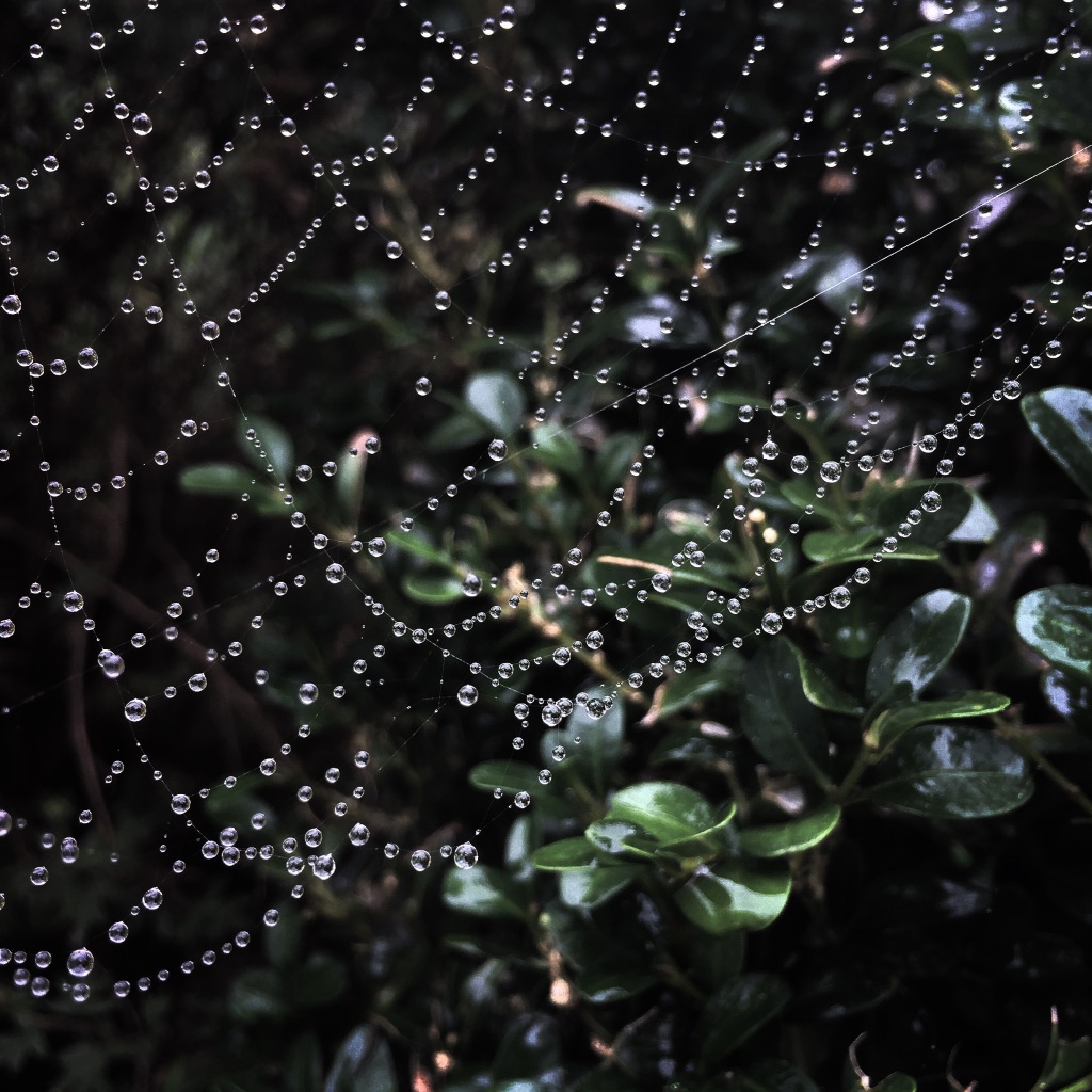 photo libre — 77