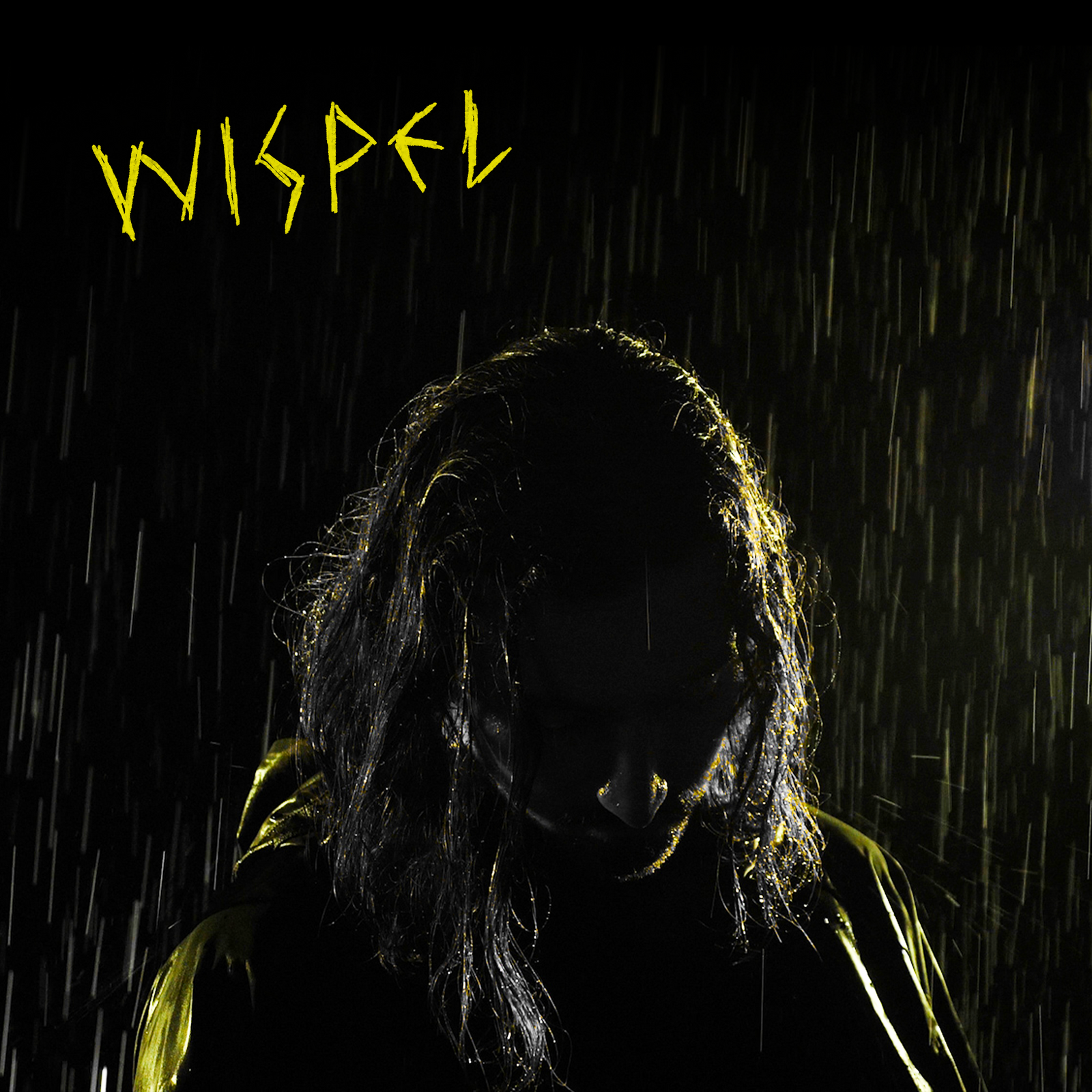 Cover 18