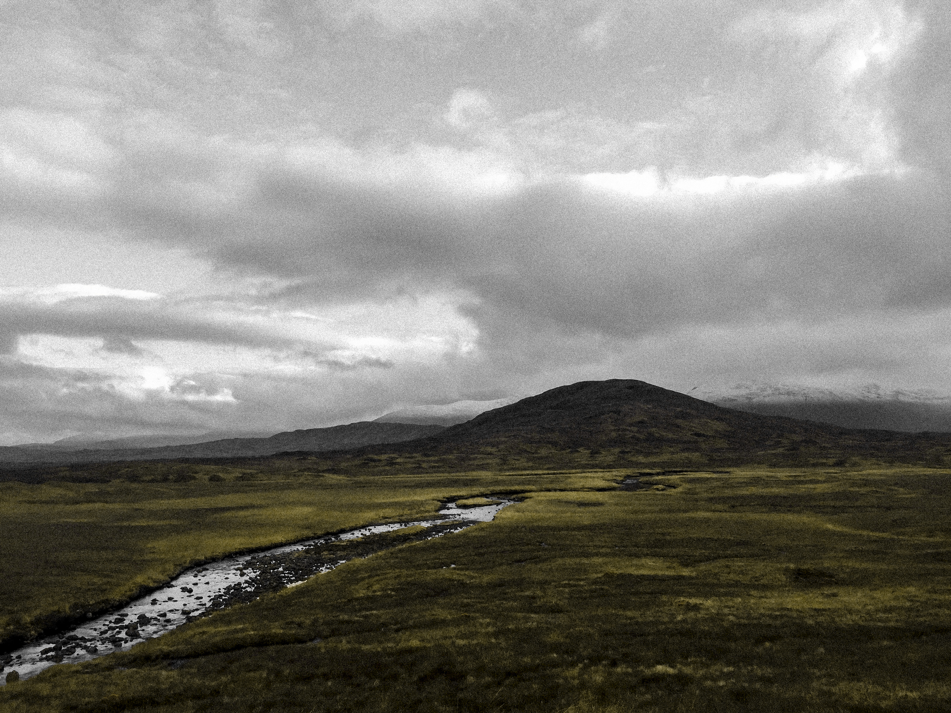 nature — 30