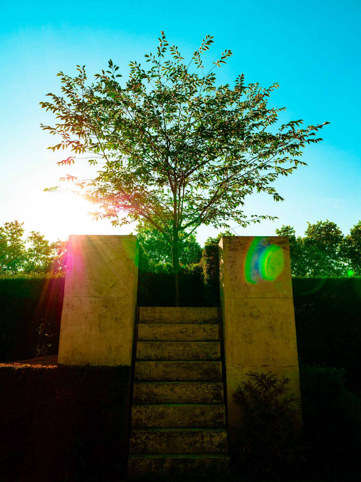 nature — 16