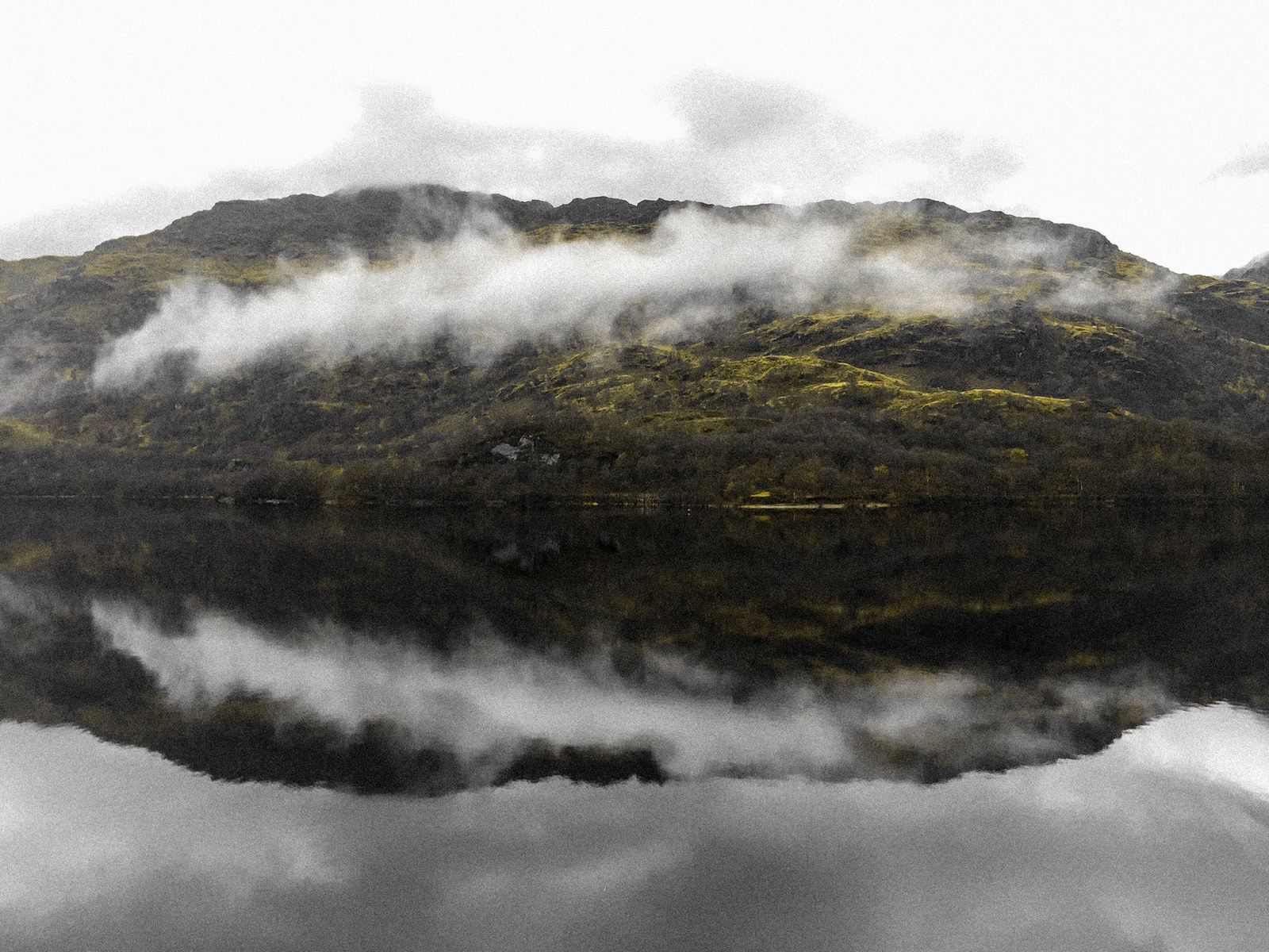 nature — 19